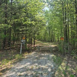 Photo #1 of Mountain Creek Rd, Green Bay, VA 2.9 acres