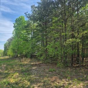 Photo #2 of Mountain Creek Rd, Green Bay, VA 2.9 acres
