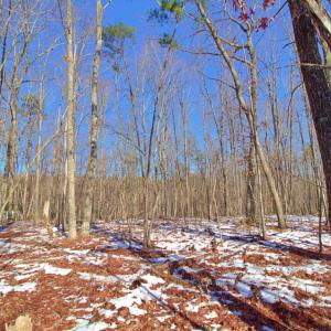 Photo #4 of Texas School Road, Wingina, VA 11.0 acres