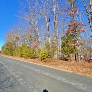Photo #2 of Texas School Road, Wingina, VA 11.0 acres