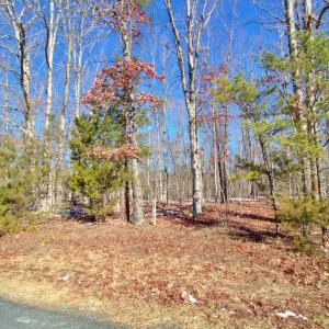 Photo #3 of Texas School Road, Wingina, VA 11.0 acres