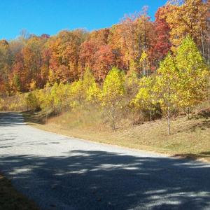 Photo #6 of Old Stoney Creek, Nellysford, VA 66.8 acres