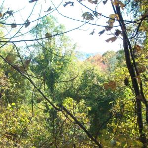 Photo #12 of Old Stoney Creek, Nellysford, VA 66.8 acres