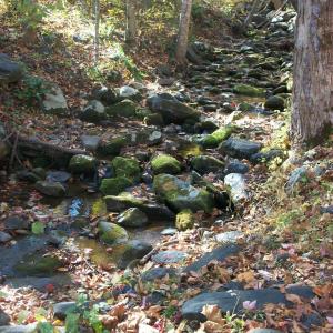 Photo #22 of Old Stoney Creek, Nellysford, VA 66.8 acres