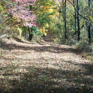 Photo #13 of Old Stoney Creek, Nellysford, VA 66.8 acres