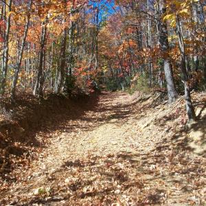 Photo #2 of Old Stoney Creek, Nellysford, VA 66.8 acres