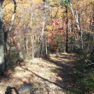 Photo #4 of Old Stoney Creek, Nellysford, VA 66.8 acres