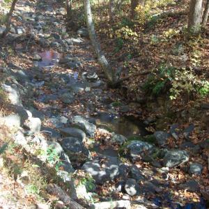 Photo #21 of Old Stoney Creek, Nellysford, VA 66.8 acres