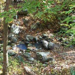 Photo #20 of Old Stoney Creek, Nellysford, VA 66.8 acres