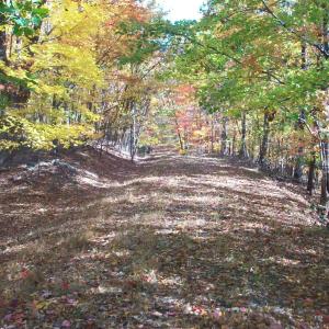 Photo #19 of Old Stoney Creek, Nellysford, VA 66.8 acres