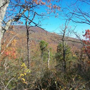 Photo #5 of Old Stoney Creek, Nellysford, VA 66.8 acres