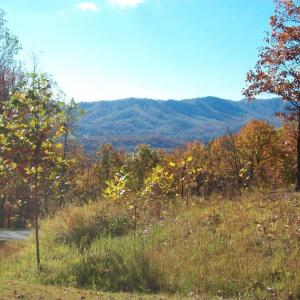Photo #8 of Old Stoney Creek, Nellysford, VA 66.8 acres