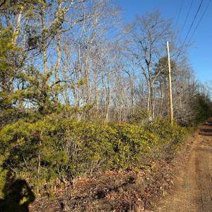 Photo #2 of wesley Drive, Madison Heights, VA 16.2 acres