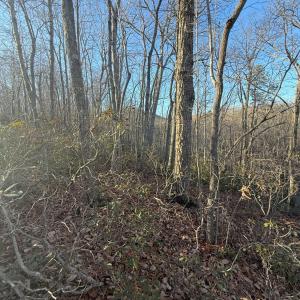 Photo #4 of wesley Drive, Madison Heights, VA 16.2 acres