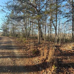 Photo #1 of wesley Drive, Madison Heights, VA 16.2 acres