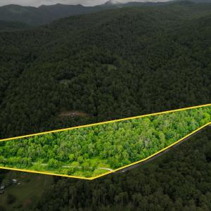 Photo #2 of Pedlar River Road, Vesuvius, VA 16.5 acres