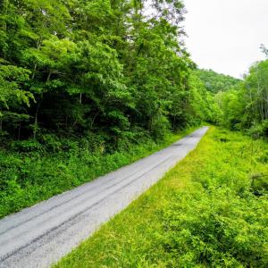 Photo #17 of Pedlar River Road, Vesuvius, VA 16.5 acres