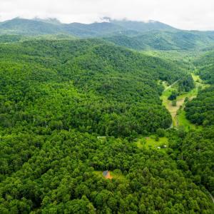 Photo #10 of Pedlar River Road, Vesuvius, VA 16.5 acres