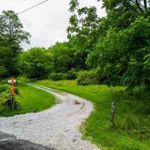 Photo #18 of Pedlar River Road, Vesuvius, VA 16.5 acres