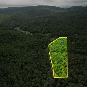 Photo #4 of Pedlar River Road, Vesuvius, VA 16.5 acres