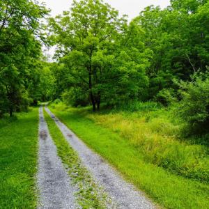 Photo #14 of Pedlar River Road, Vesuvius, VA 16.5 acres