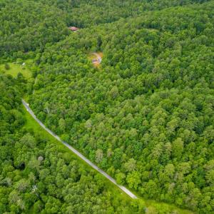 Photo #5 of Pedlar River Road, Vesuvius, VA 16.5 acres