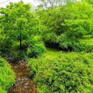 Photo #20 of Pedlar River Road, Vesuvius, VA 16.5 acres