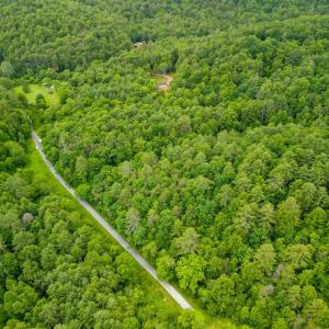 Photo #12 of Pedlar River Road, Vesuvius, VA 16.5 acres