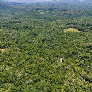 Photo #30 of Love Lady Creek, Monroe, VA 17.0 acres