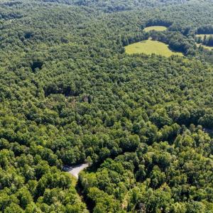 Photo #16 of Love Lady Creek, Monroe, VA 17.0 acres