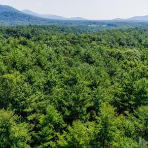 Photo #12 of Love Lady Creek, Monroe, VA 17.0 acres