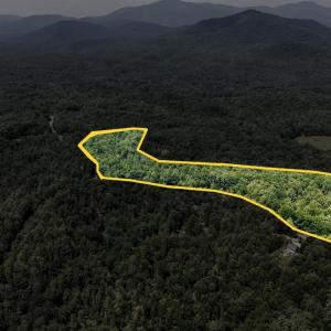 Photo #2 of Love Lady Creek, Monroe, VA 17.0 acres