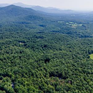 Photo #15 of Love Lady Creek, Monroe, VA 17.0 acres