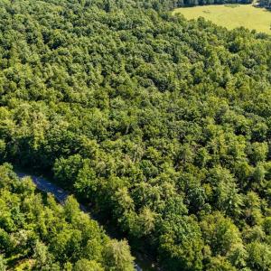 Photo #18 of Love Lady Creek, Monroe, VA 17.0 acres