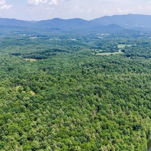 Photo #32 of Love Lady Creek, Monroe, VA 17.0 acres
