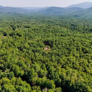 Photo #19 of Love Lady Creek, Monroe, VA 17.0 acres