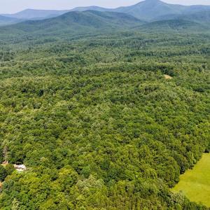 Photo #25 of Love Lady Creek, Monroe, VA 17.0 acres