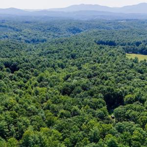 Photo #13 of Love Lady Creek, Monroe, VA 17.0 acres