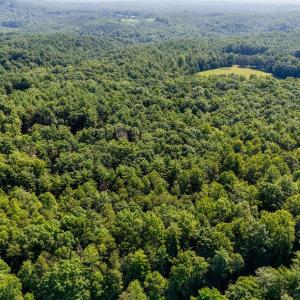 Photo #7 of Love Lady Creek, Monroe, VA 17.0 acres