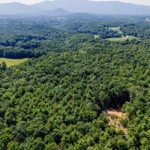 Photo #14 of Love Lady Creek, Monroe, VA 17.0 acres