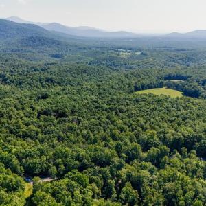 Photo #8 of Love Lady Creek, Monroe, VA 17.0 acres