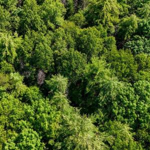 Photo #22 of Love Lady Creek, Monroe, VA 17.0 acres