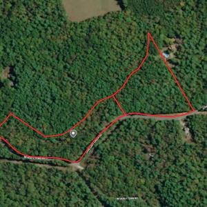 Photo #4 of Love Lady Creek, Monroe, VA 17.0 acres