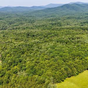 Photo #26 of Love Lady Creek, Monroe, VA 17.0 acres