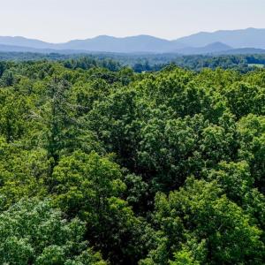 Photo #21 of Love Lady Creek, Monroe, VA 17.0 acres