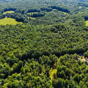Photo #17 of Love Lady Creek, Monroe, VA 17.0 acres