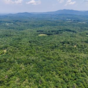 Photo #31 of Love Lady Creek, Monroe, VA 17.0 acres