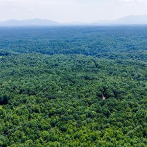 Photo #33 of Love Lady Creek, Monroe, VA 17.0 acres