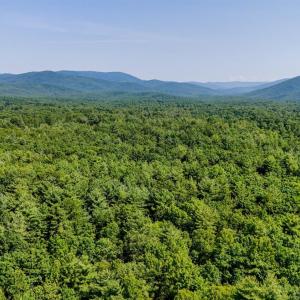 Photo #11 of Love Lady Creek, Monroe, VA 17.0 acres