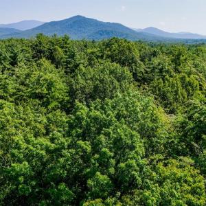 Photo #20 of Love Lady Creek, Monroe, VA 17.0 acres